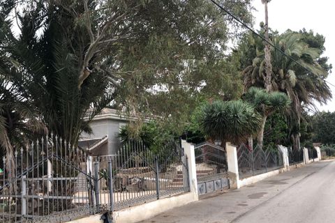 Terra a Dolores, Alicante, Dolores - € 199/mes | Ref: CARAVAN01 - foto 2